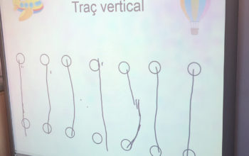 trac-vertical-00007